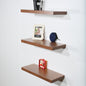 Set of 3 Modern and Contemporary JD Walnut Floating Shelf